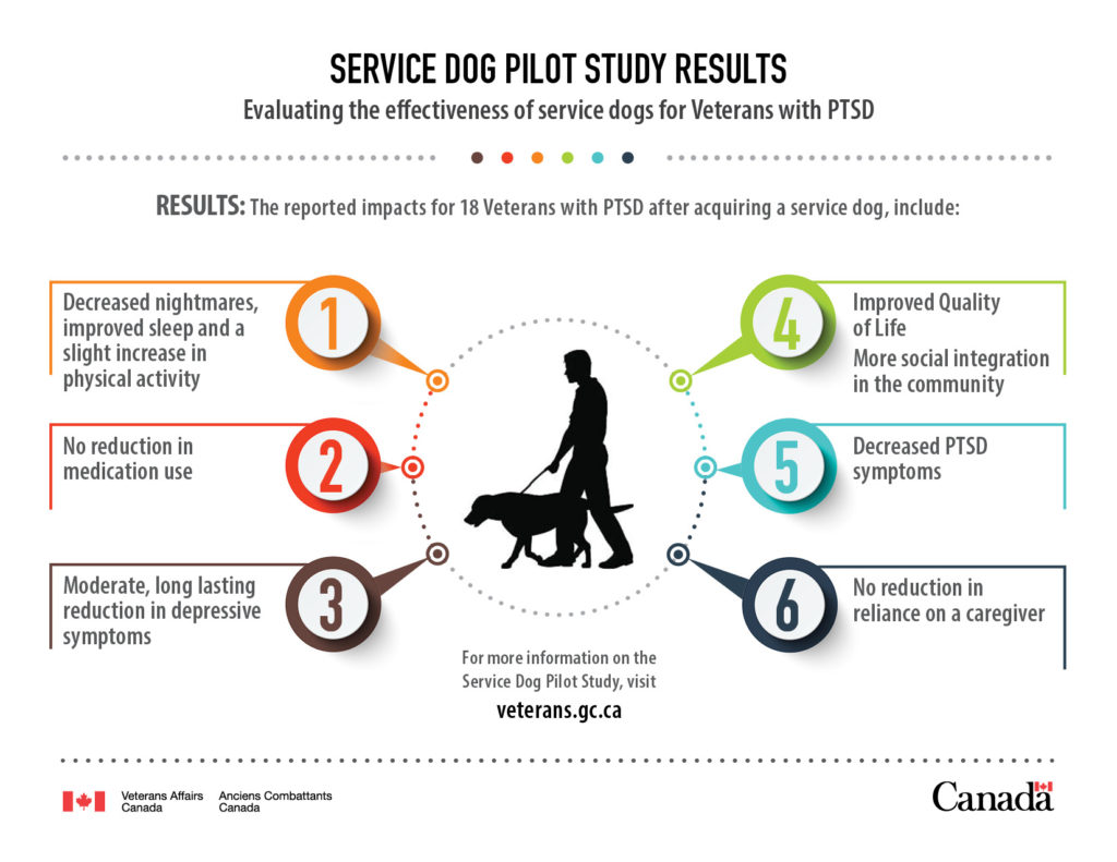 service dogs help PTSD