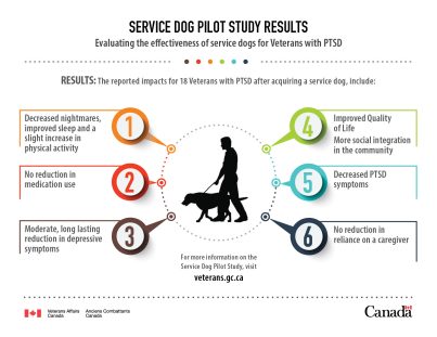 canada-service-dogs-for-vets
