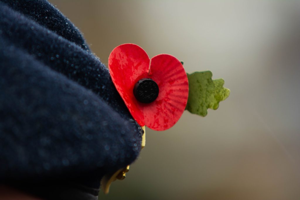 remembrance-day-poppy veterans