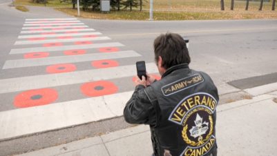 chestermere-poppy-crosswalk Canadian veteran