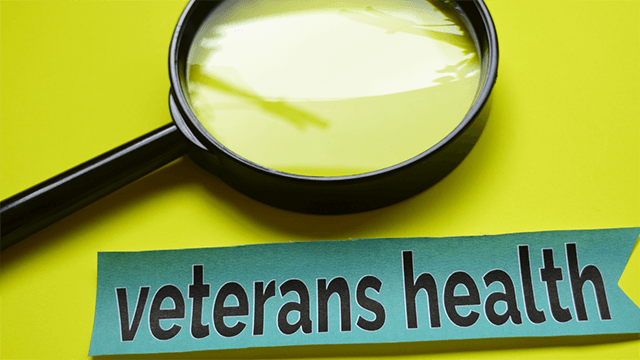Veterans Welfare Service