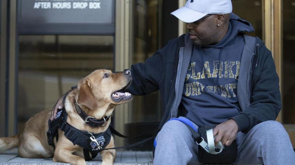 Service Dogs Help IOWA Veterans