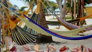 Hammocks and Palm trees in Belize.